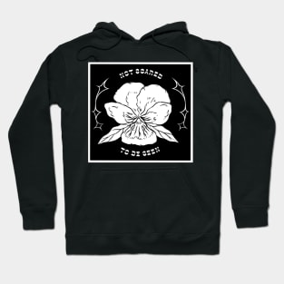 Not Scared To Be Seen Hoodie